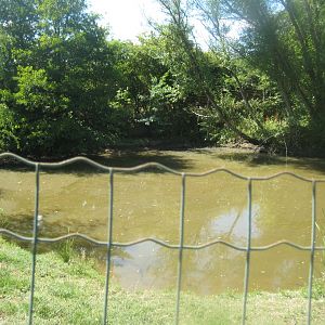 Frydenlund Fuglepark - Waterfowl lake #2