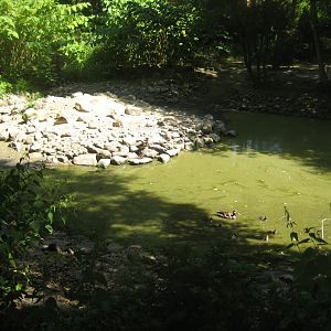 Frydenlund Fuglepark - Waterfowl lake #3