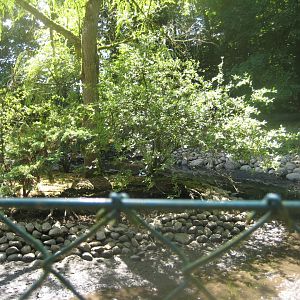 Frydenlund Fuglepark - Shelduck/goose exhibit