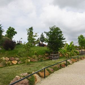 Bongo and Wattled Crane Paddock at Beauval, 12/06/18