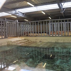 Hippo Indoor Enclosure at Beauval, 12/06/18