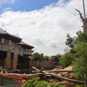 Hippo Viewing Area at Beauval, 12/06/18