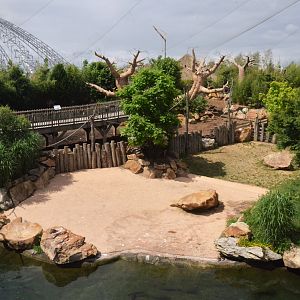 Hippo and Red River Hog Enclosures at Beauval, 12/06/18