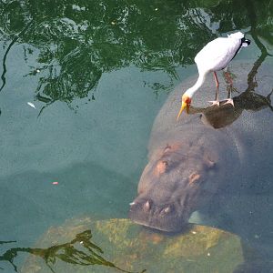 Nice Spot to Fish at Beauval, 12/06/18