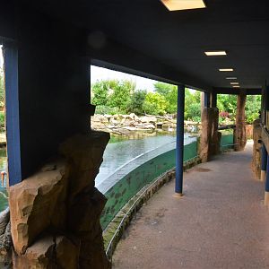 Hippo Viewing Area at Beauval, 12/06/18