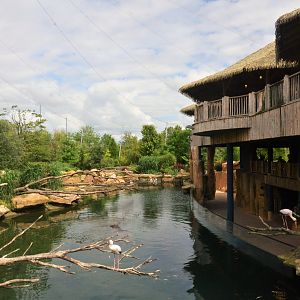 Hippo Viewing Area at Beauval, 12/06/18