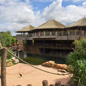Hippo Viewing Area at Beauval, 12/06/18