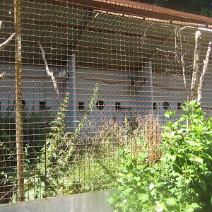 Frydenlund Fuglepark - Parrot aviary #1