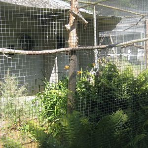 Frydenlund Fuglepark - Parrot aviary #3