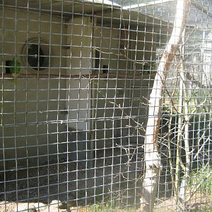 Frydenlund Fuglepark - Parrot aviary #4