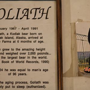 Sign About Goliath