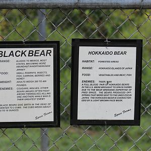Bear Signage