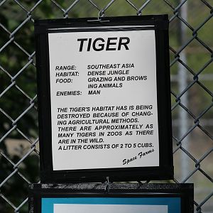 Tiger Signage