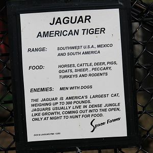 "American Tiger" Signage