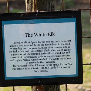 Elk Signage