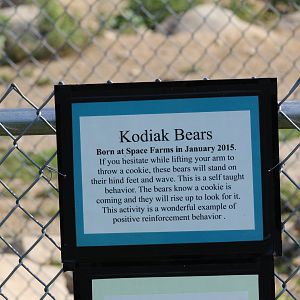 Positive Reinforcement..