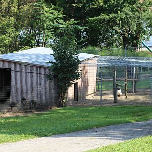 Pig & Peafowl Enclosures