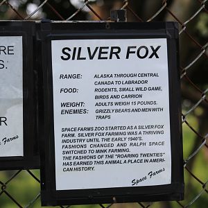 Silver Fox Sign