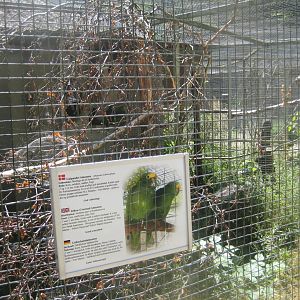 Frydenlund Fuglepark - Parrot aviary #5