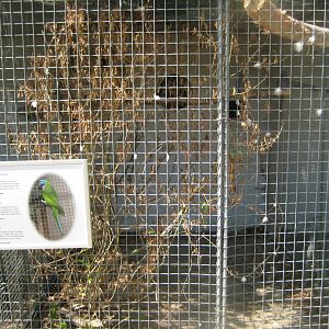 Frydenlund Fuglepark - Parrot aviary #6