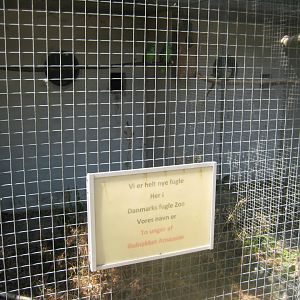 Frydenlund Fuglepark - Parrot aviary #7