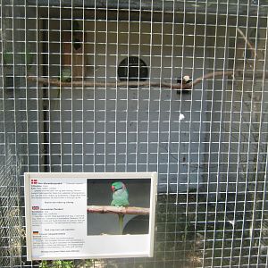 Frydenlund Fuglepark - Parrot aviary #8