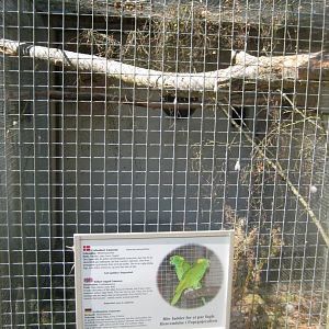 Frydenlund Fuglepark - Parrot aviary #9