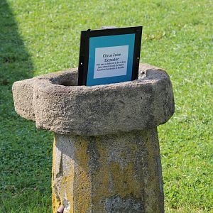 Citrus Fruit Extractor