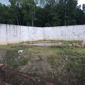 Sun Bear Exhibit