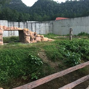 Eurasian Brown Bear Exhibit