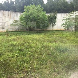 Malayan Tiger Exhibit