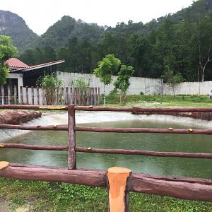 Asian Elephant Exhibit