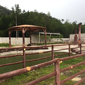 Asian Elephant Exhibit