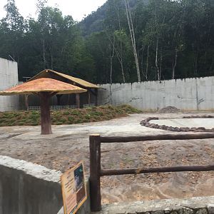 Malayan Tapir Exhibit