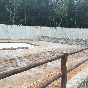 Malayan Tapir Exhibit