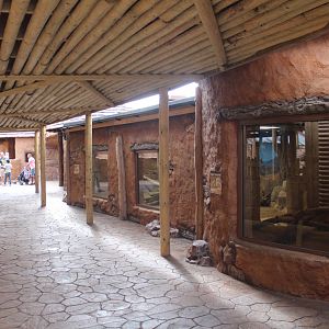 The interior of the "Little Africa" building