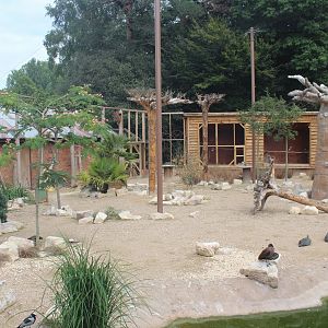 "Little Africa" - walk-in aviary