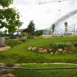 Lesser Kudu Enclosure at Beauval, 12/06/18