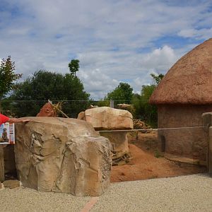 Meerkat Enclosure at Beauval, 12/06/18