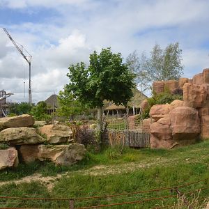 South African Lion Enclosure at Beauval, 12/06/18