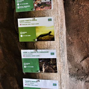 Reptile Signage at Beauval, 12/06/18