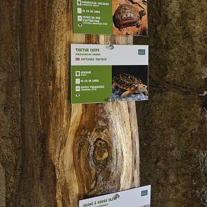 Reptile Signage at Beauval, 12/06/18