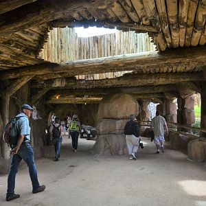 Lion Viewing at Beauval, 12/06/18