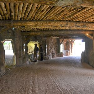 Lion and Reptile Viewing at Beauval, 12/06/18