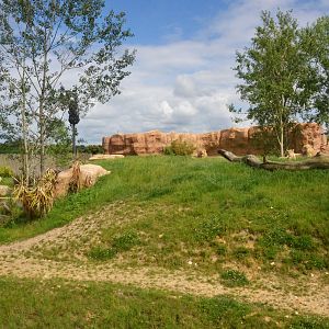 South African Lion Enclosure at Beauval, 12/06/18