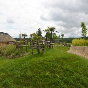 Lesser Kudu Paddock at Beauval, 12/06/18