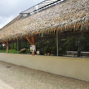Bongo, Lesser Kudu and Wattled Crane Housing at Beauval, 12/06/18