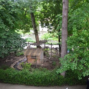 Coati Enclosure at Beauval, 12/06/18