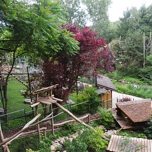 Barbary Macaque and Raccoon Enclosures at Beauval, 12/06/18