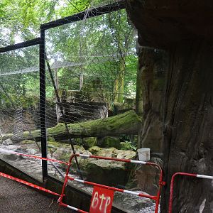 Former Brown Bear Enclosure at Beauval, 12/06/18